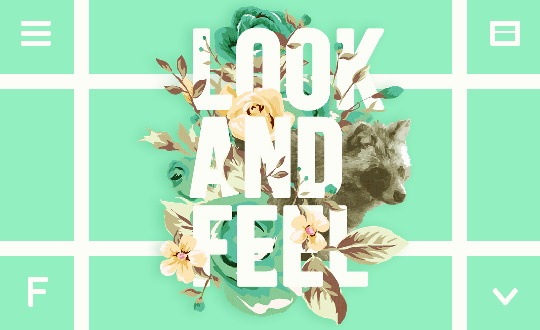 Look and Feel
