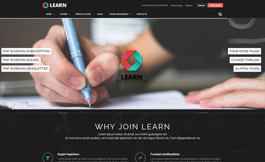 LEARN   Educational template