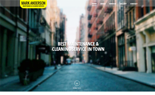 Mark Anderson Cleaning and Maintenance Services