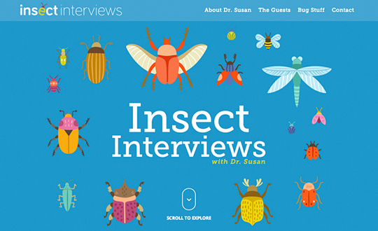 Insect Interviews